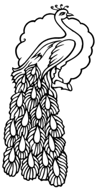 �\�D�E�����̊G���T���v�� �A�����J��2 1-060