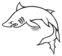 �\�D�E�����̊G���T���v�� �A�����J��2 1-062