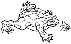 �\�D�E�����̊G���T���v�� �A�����J��2 1-072