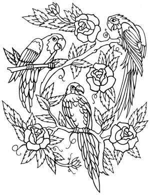 �\�D�E�����̊G���T���v�� �A�����J��2 1-094