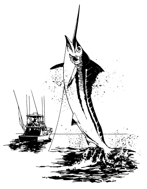 �\�D�E�����̊G���T���v�� �X�|�[�c1 �t�B�b�V���O