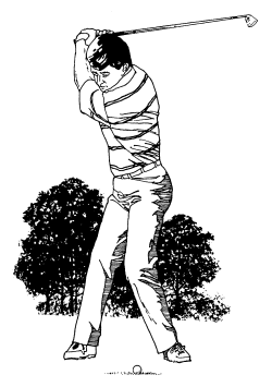 �\�D�E�����̊G���T���v�� �X�|�[�c1 �S���t