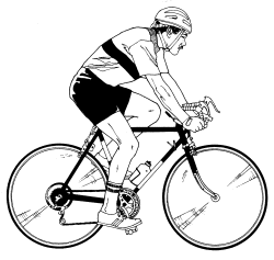 �\�D�E�����̊G���T���v�� �X�|�[�c1 ���]��