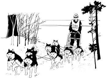 �\�D�E�����̊G���T���v�� �X�|�[�c1 Dog sledding