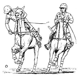 �\�D�E�����̊G���T���v�� �X�|�[�c1 polo