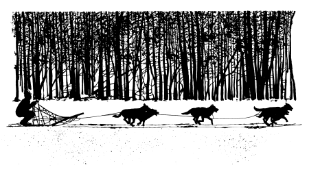 �\�D�E�����̊G���T���v�� �X�|�[�c1 Dog sledding