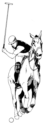 �\�D�E�����̊G���T���v�� �X�|�[�c1 polo