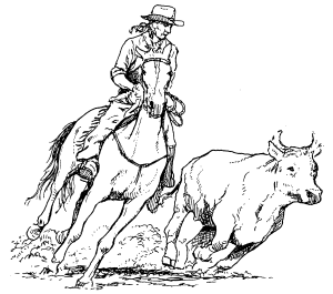 �\�D�E�����̊G���T���v�� �X�|�[�c1 Riding