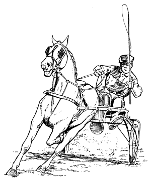 �\�D�E�����̊G���T���v�� �X�|�[�c1 trotting