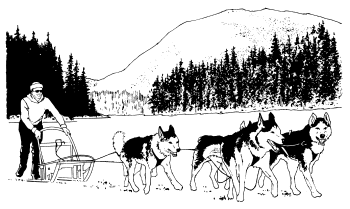 �\�D�E�����̊G���T���v�� �X�|�[�c1 Dog sledding