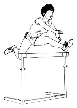 Hurdles