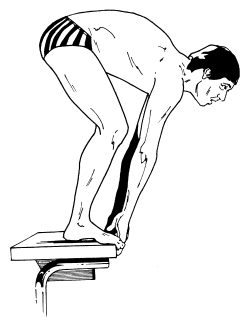 �\�D�E�����̊G���T���v�� �X�|�[�c3 SWimming