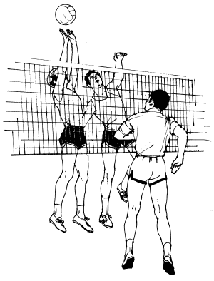 �\�D�E�����̊G���T���v�� �X�|�[�c3 Volley Ball