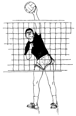 �\�D�E�����̊G���T���v�� �X�|�[�c3 Volley Ball