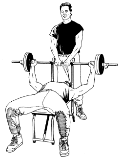 �\�D�E�����̊G���T���v�� �X�|�[�c3 Weight Lifting