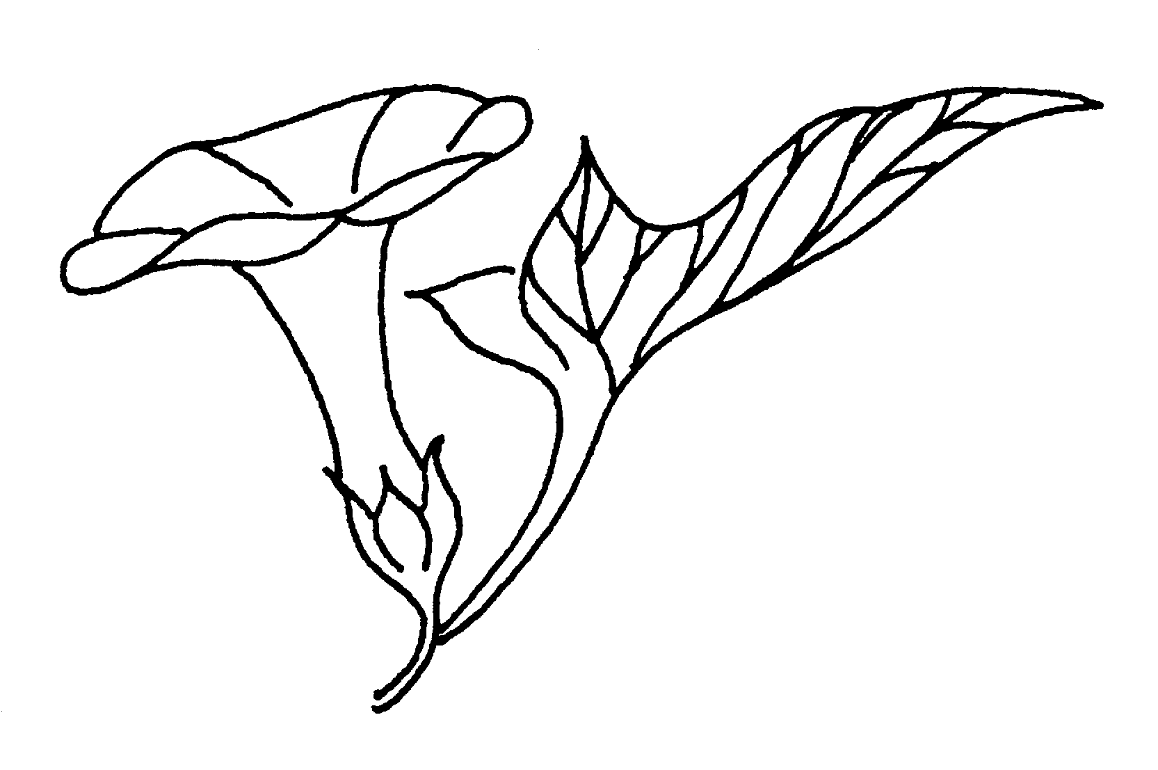 �\�D�E�����̊G���T���v�� �a��1 9-033