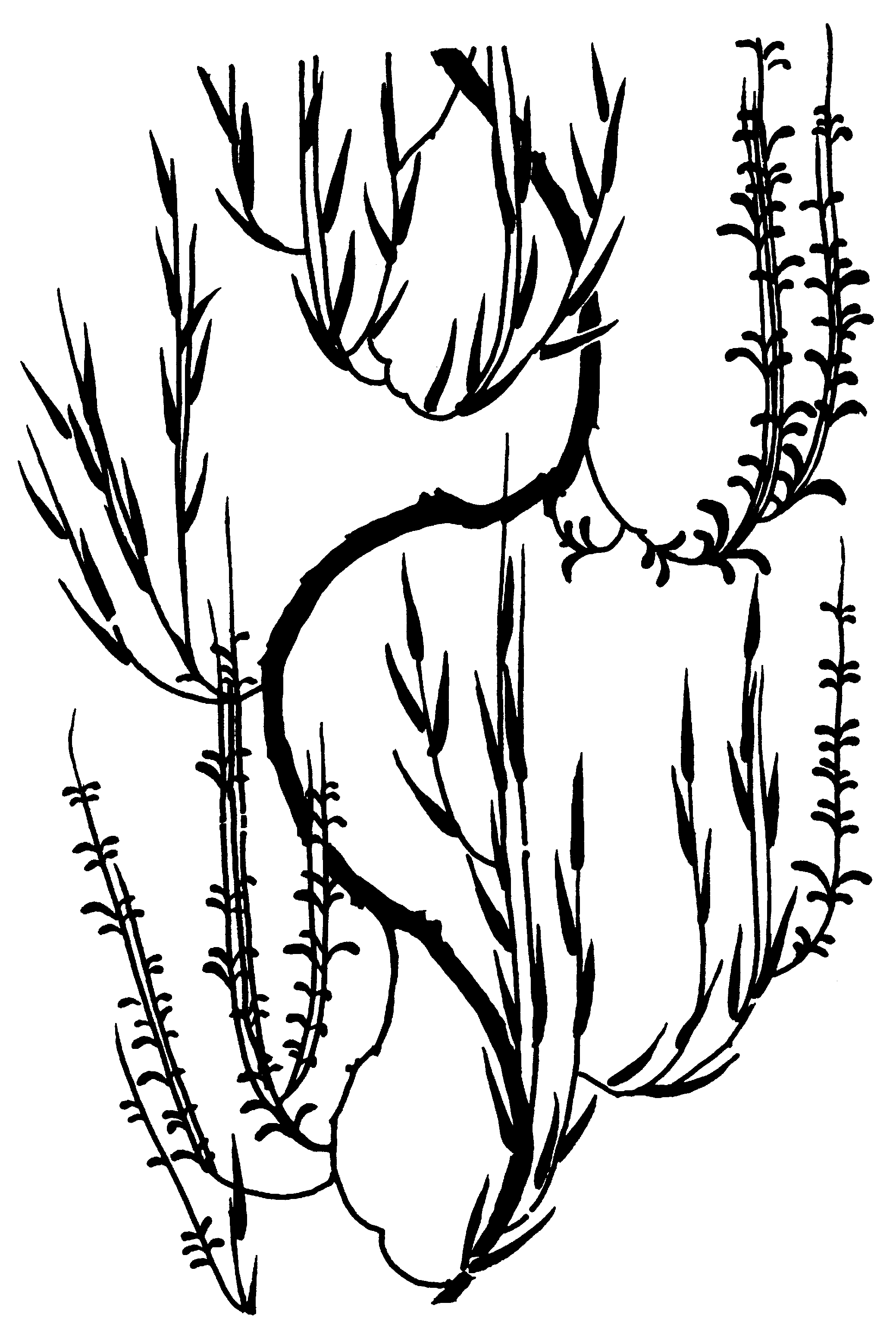 �\�D�E�����̊G���T���v�� �a��1 9-066