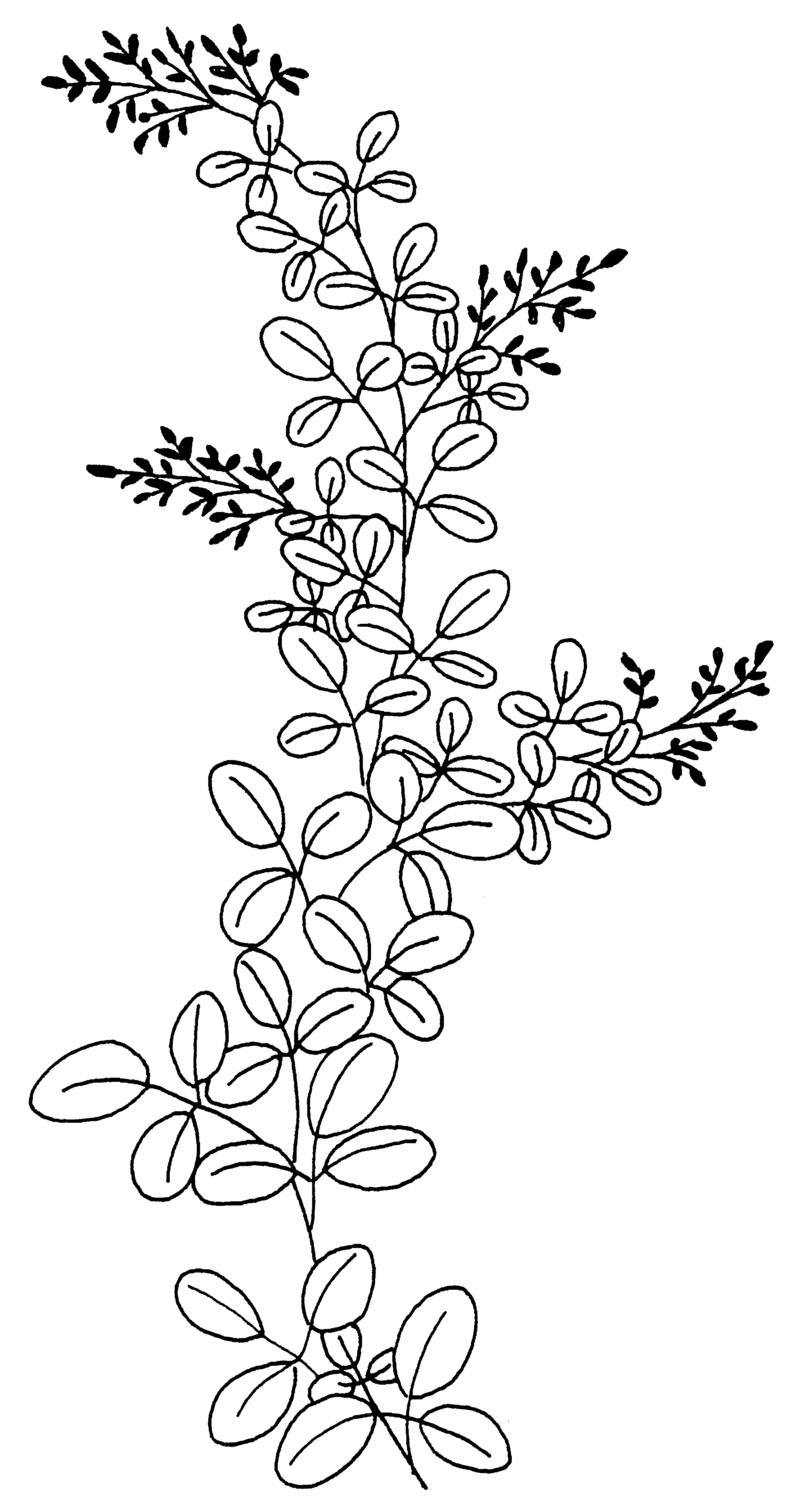 �\�D�E�����̊G���T���v�� �a��1 9-076