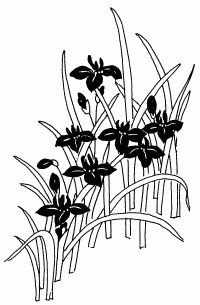 �\�D�E�����̊G���T���v�� �a��2 9-227