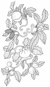 �\�D�E�����̊G���T���v�� �a��2 9-235