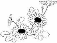 �\�D�E�����̊G���T���v�� �a��2 9-243