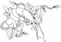 �\�D�E�����̊G���T���v�� �a��2 9-244