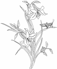 �\�D�E�����̊G���T���v�� �a��2 9-279