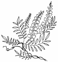 �\�D�E�����̊G���T���v�� �a��3 9-336