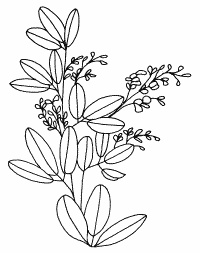 �\�D�E�����̊G���T���v�� �a��3 9-359