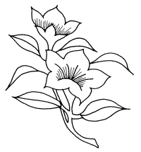 �\�D�E�����̊G���T���v�� �a��3 9-375