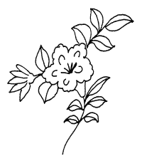 �\�D�E�����̊G���T���v�� �a��3 9-381