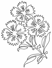 �\�D�E�����̊G���T���v�� �a��3 9-404