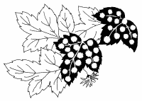 �\�D�E�����̊G���T���v�� �a��3 9-416