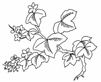 �\�D�E�����̊G���T���v�� �a��3 9-422