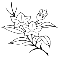 �\�D�E�����̊G���T���v�� �a��3 9-440