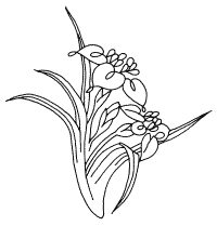 �\�D�E�����̊G���T���v�� �a��3 9-451