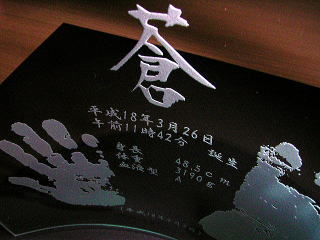 �o�Y�L�O�v���[�g ������