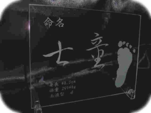 �o�Y�L�O�v���[�g ������