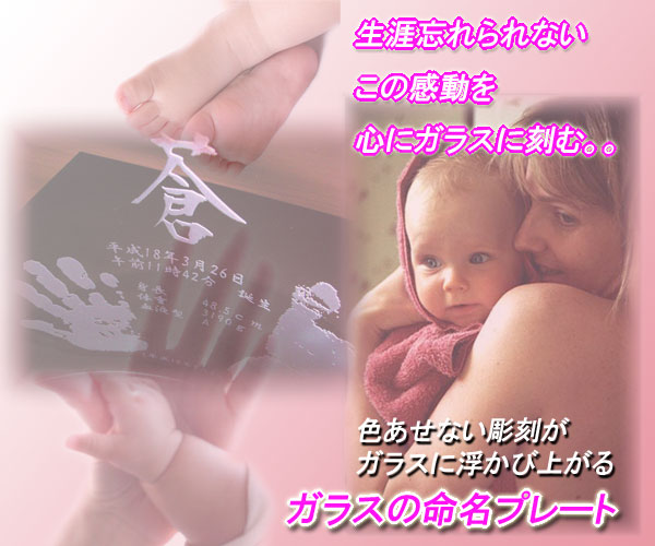 �o�Y�L�O�@�����K���X�v���[�g