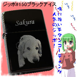 �W�b�|#150�u���b�N�A�C�X