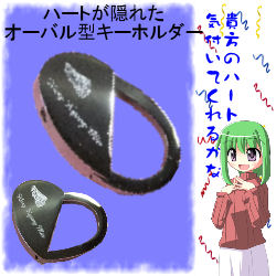 �I�[�o���^�L�[�z���_�[